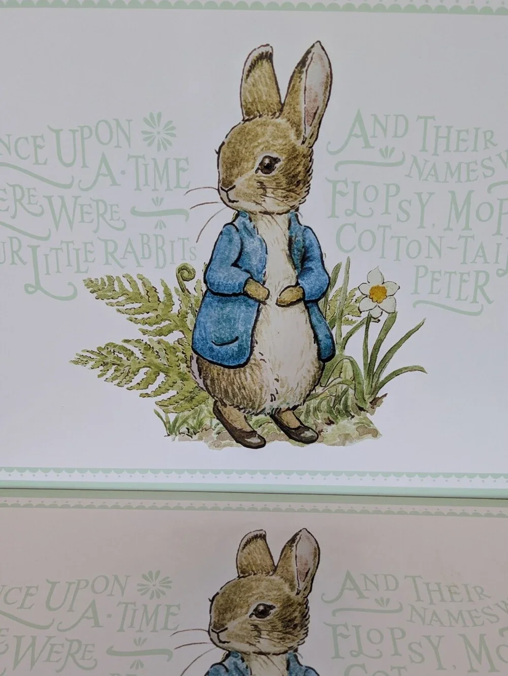 Pottery Barn Kids Beatrix Potter Peter Rabbit Placemats Set of 2 Discontinued